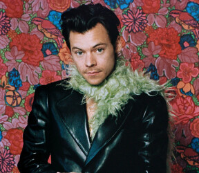 Harry Styles