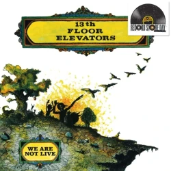 13th Floor Elevators