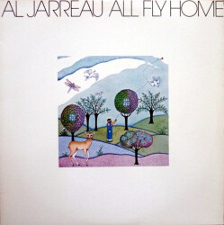 All Fly Home bsk 3229 1