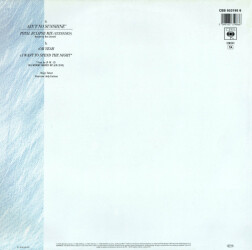 Ain't No Sunshine (Total Eclipse Mix) 653198 6 2