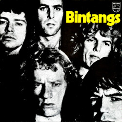 Bintangs 6410 955 1