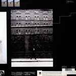 Wonderful Life 395 165-1 2