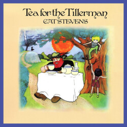 Tea For The Tillerman 85 678 IT 1
