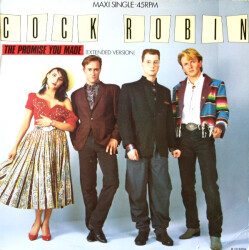 The Promise You Made (Extended Version) CBSA 12.6764 1