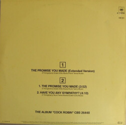 The Promise You Made (Extended Version) CBSA 12.6764 2