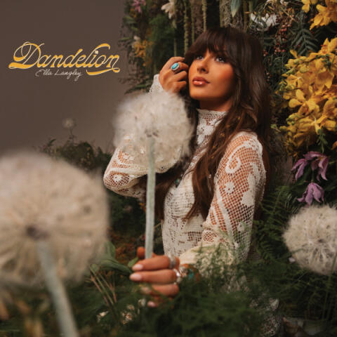 Dandelion 19958430891