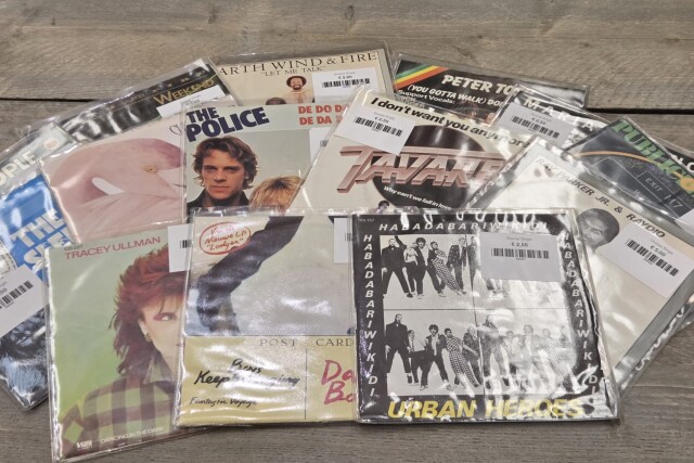 Diverse Single Single2.5