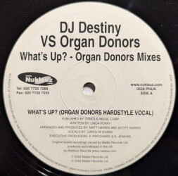 What's Up? 0528 PNUK 2