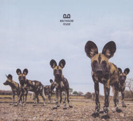 Fever PIASR1055CDX 1