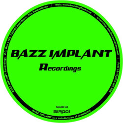 Rockin' Da Place / Go Insane BIR001 4