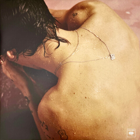 Harry Styles 889854390310