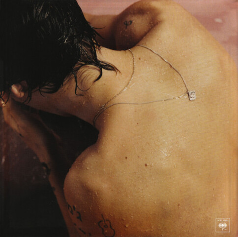 Harry Styles Z53194