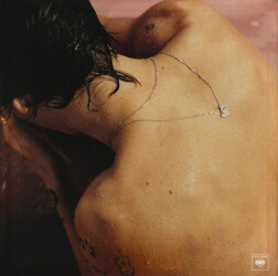Harry Styles Z53194 1