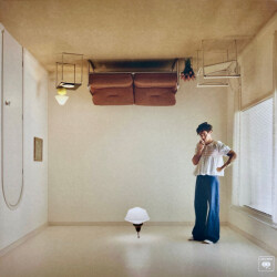 Harry’s House 19658708141 1