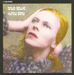 Hunky Dory 0825646289448 1