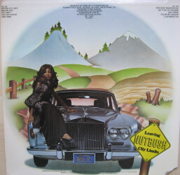 Nutbush City Limits UA-LA180-F 2