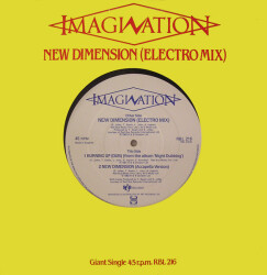 New Dimension (Electro Mix) RBL 216 2