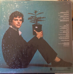 Chewing Pine ST-11446 2