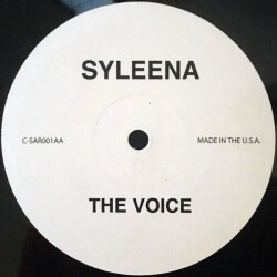 At The Party / The Voice C-SAR001 2