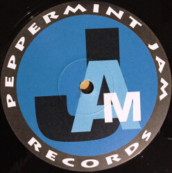 Brothers, Sisters (Remixes) PJMS0032 2