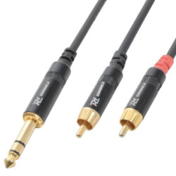 Kabel 6.3 Stereo - 2x RCA Male CX84