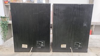 22RH453 luidspreker set 11971/11955 3