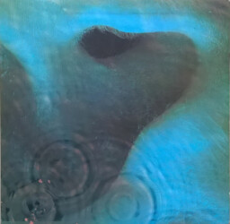 Meddle 5C062-04 917 1