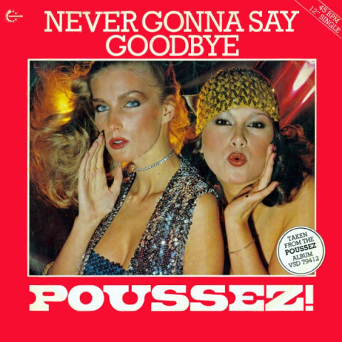 Never Gonna Say Goodbye VSL 5014