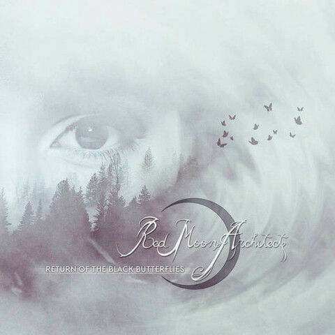 Return Of The Black Butterflies INV253