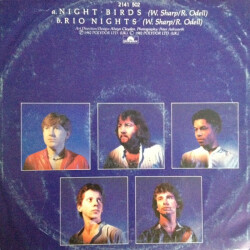 Night Birds 2141 502 2