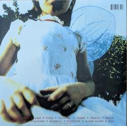 Siamese Dream 00602465173406 2