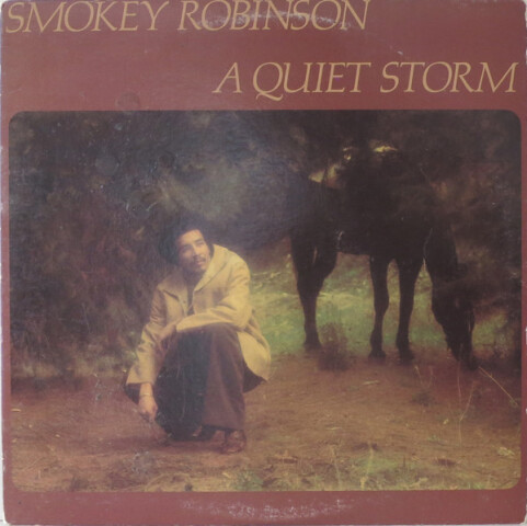 A Quiet Storm t6-337s1