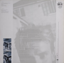 The Dream Of The Blue Turtles 393 750-1 2