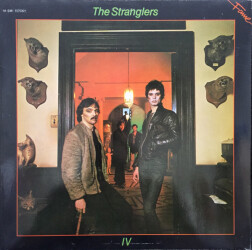 IV Rattus Norvegicus 1A 038-1575301