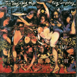 Fully Completely MCASD-10700 1