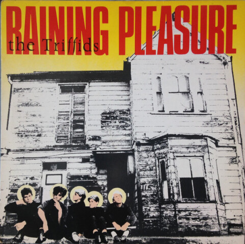 Raining Pleasure MINIHOT 1