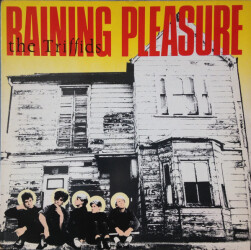 Raining Pleasure MINIHOT 1 1