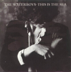 This Is The Sea VG 71423 1