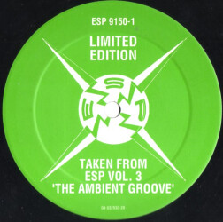 The Ambient Groove ESP 9150-1 2
