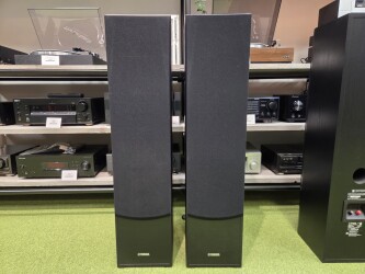 NS-F51 Zuilspeaker set 2021/11 1