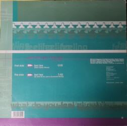 Feel Free (The Remixes) Bonzai 013-12R 2